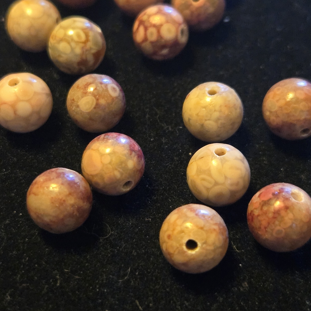 CORAL FOSSIL JASPER - Picture 2 of 3